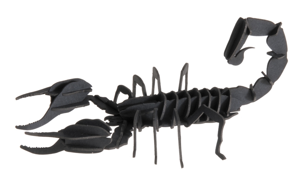 3D model, scorpion