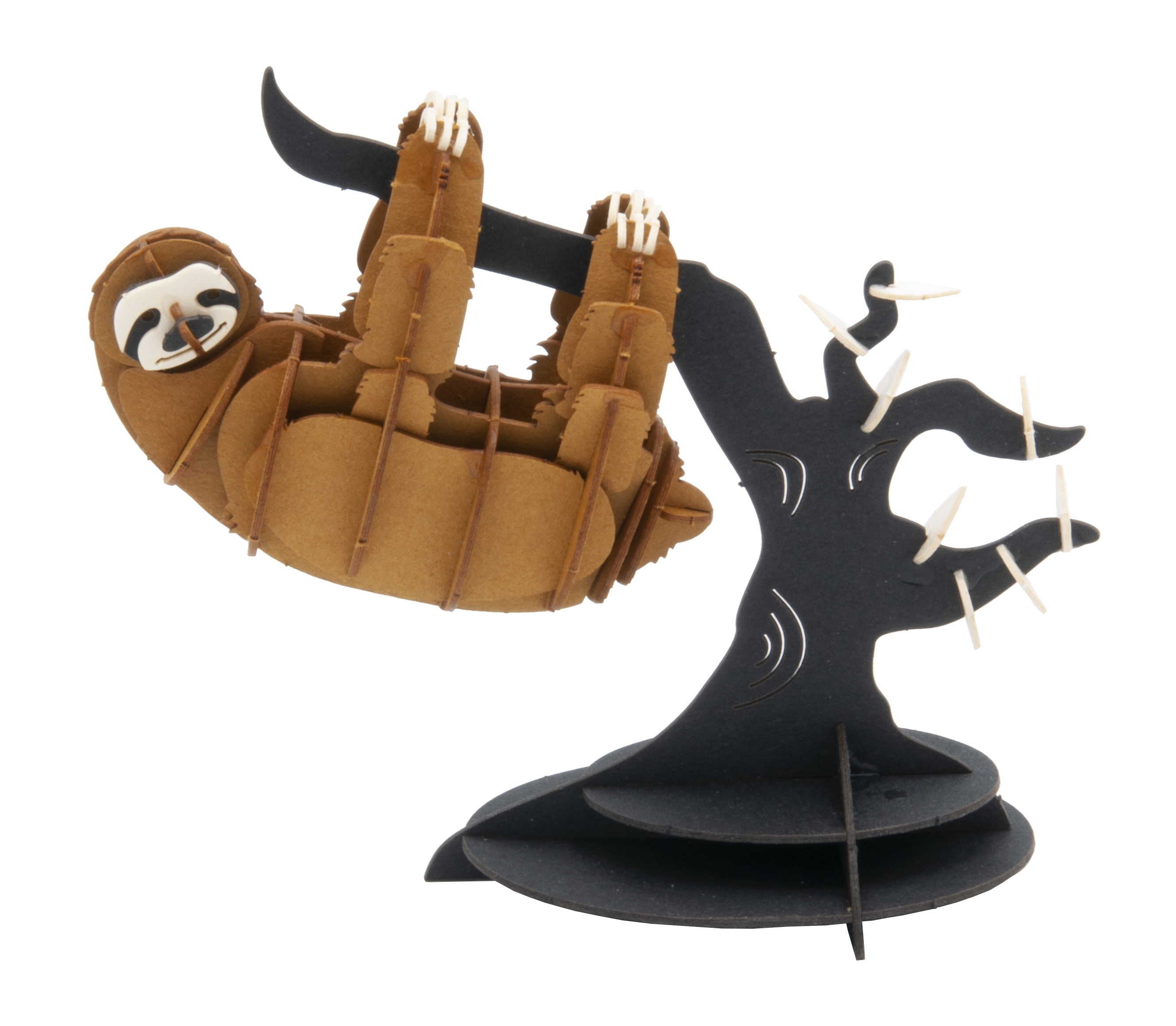 3D model, sloth