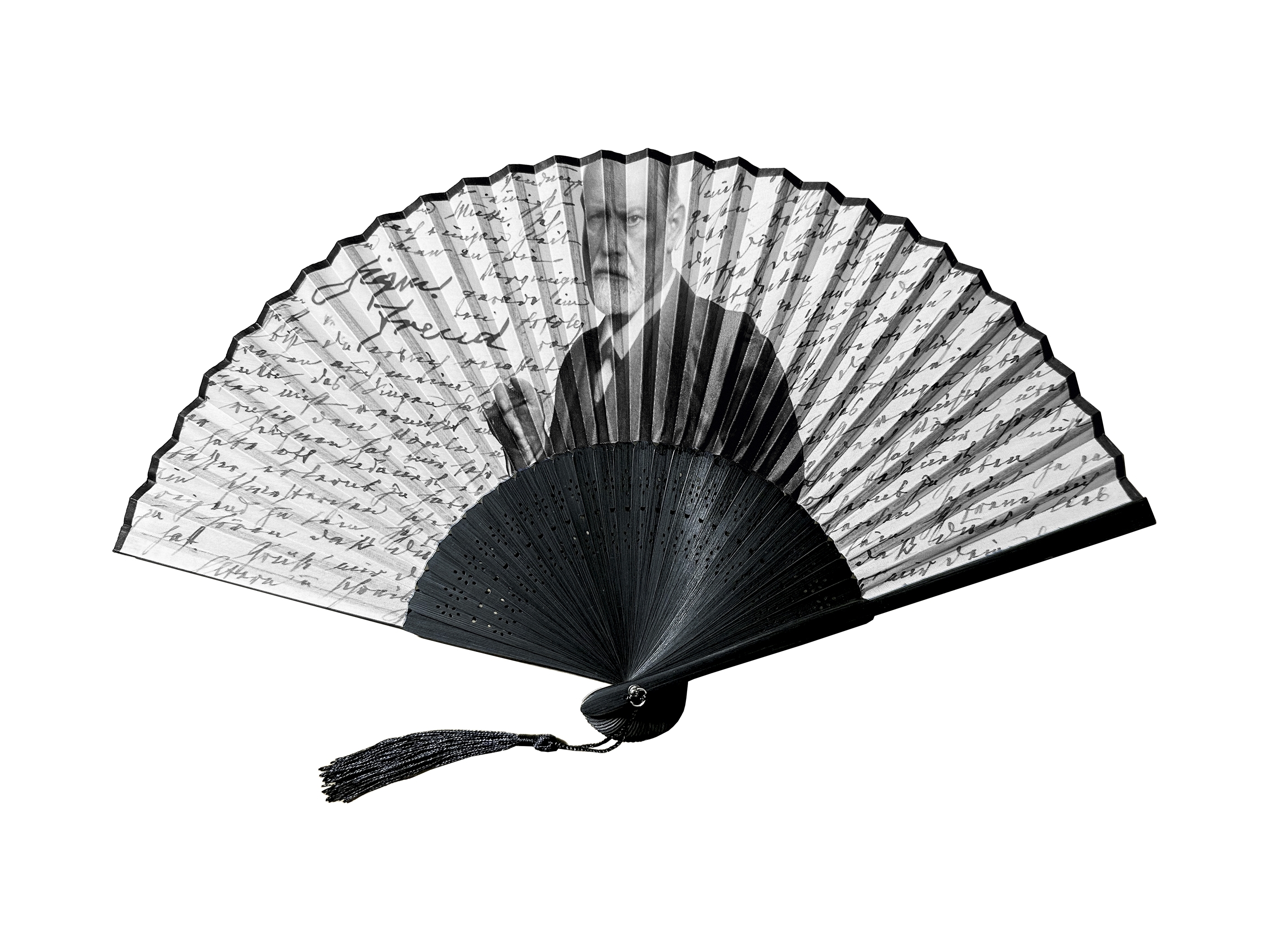 Fan, Freud, Portrait, with bag, bamboo