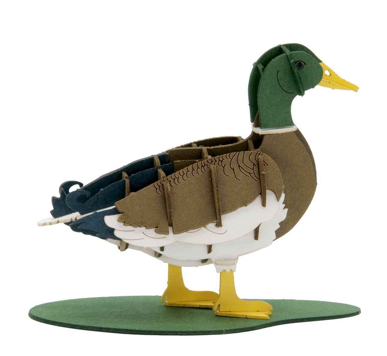 3D-Modell, Stockenten-Erpel
