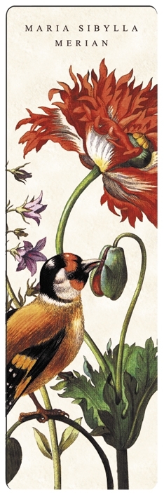 bookmark, Maria Sibylla Merian, Bird