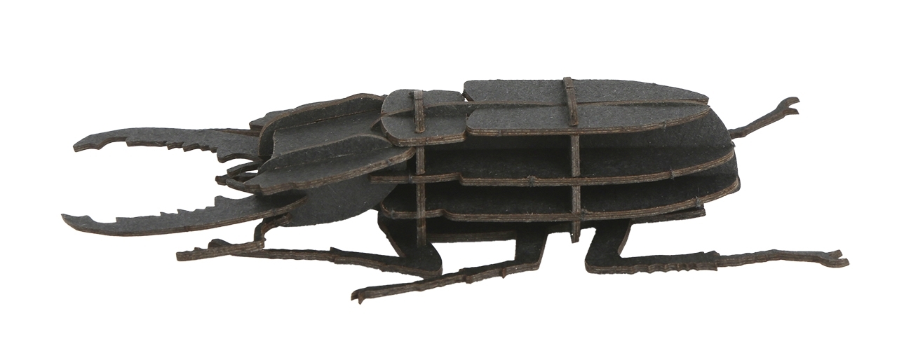 3D model, stag beetle