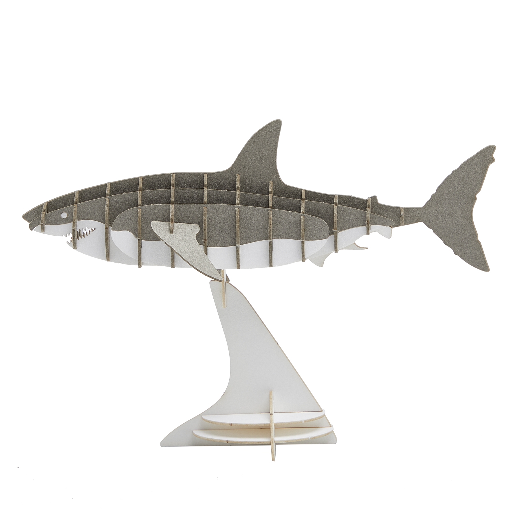 3D model, shark