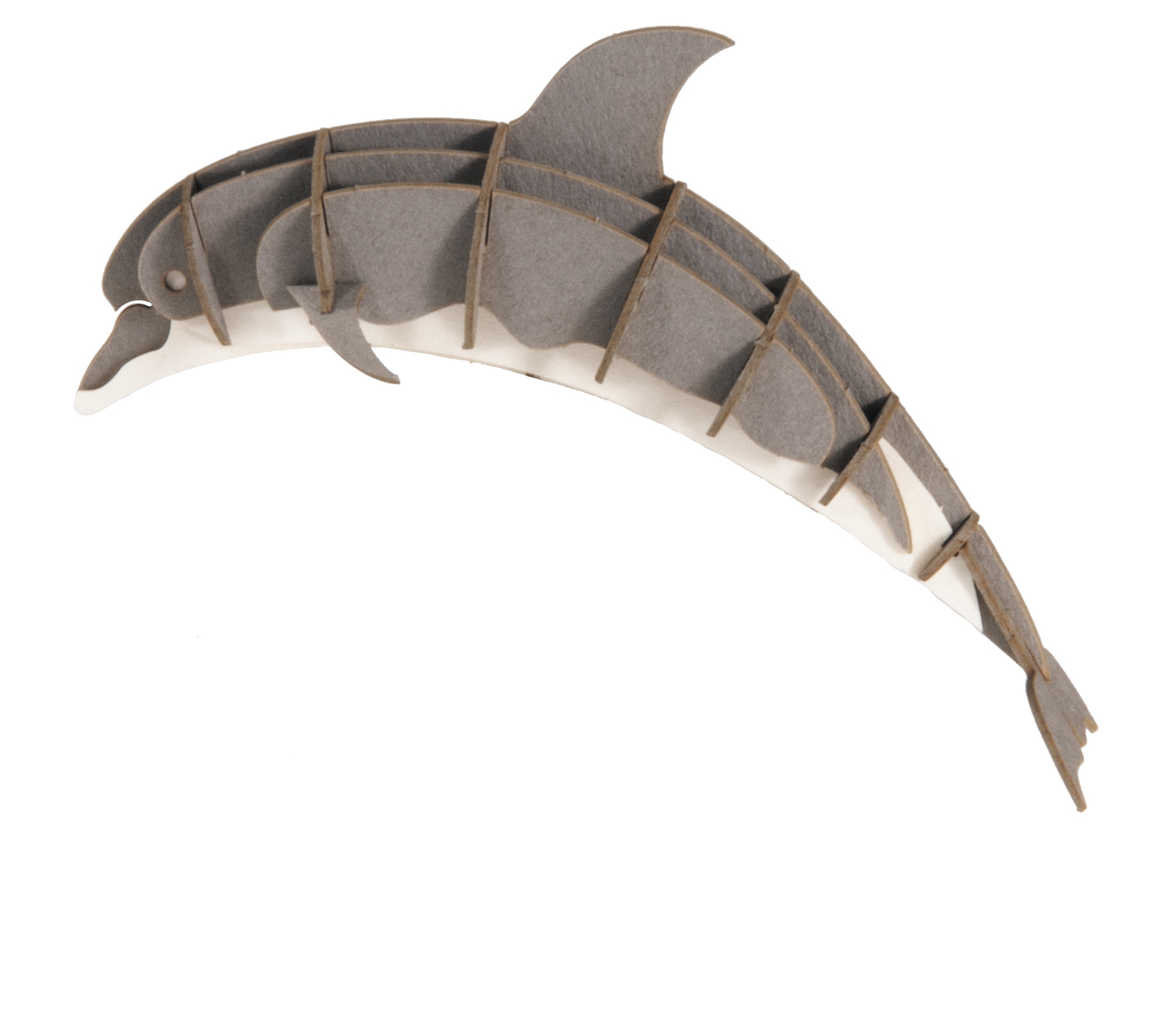 3D model, dolphin