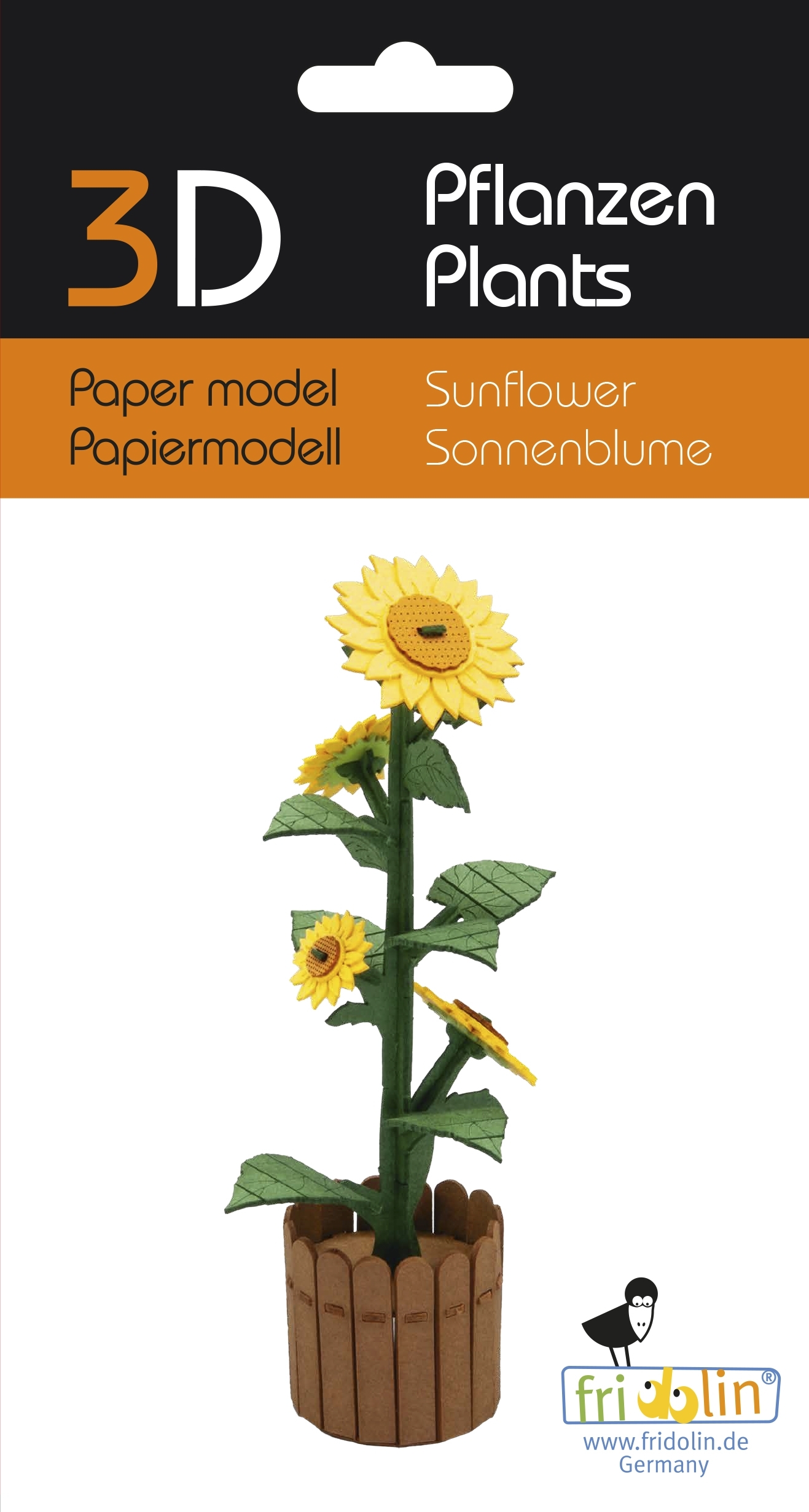 3D model, sunflower
