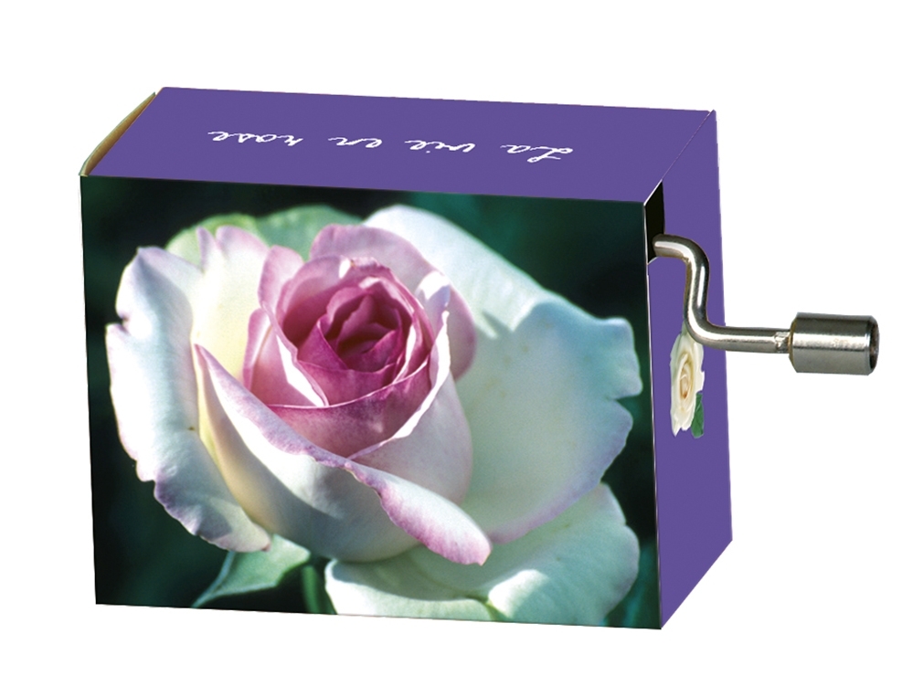 Music box, La vie en rose, Rose (white/pink)