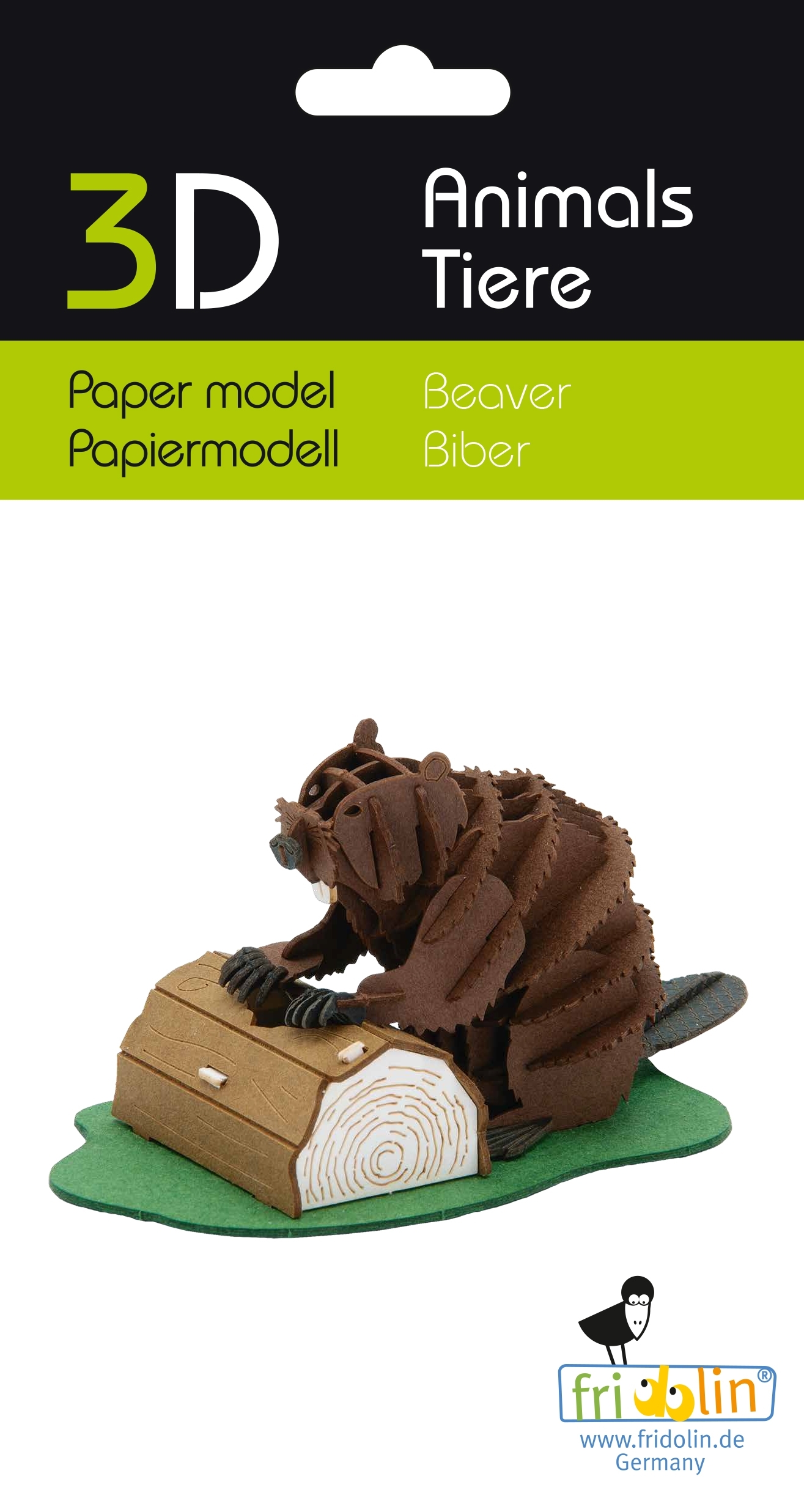 3D model, beaver