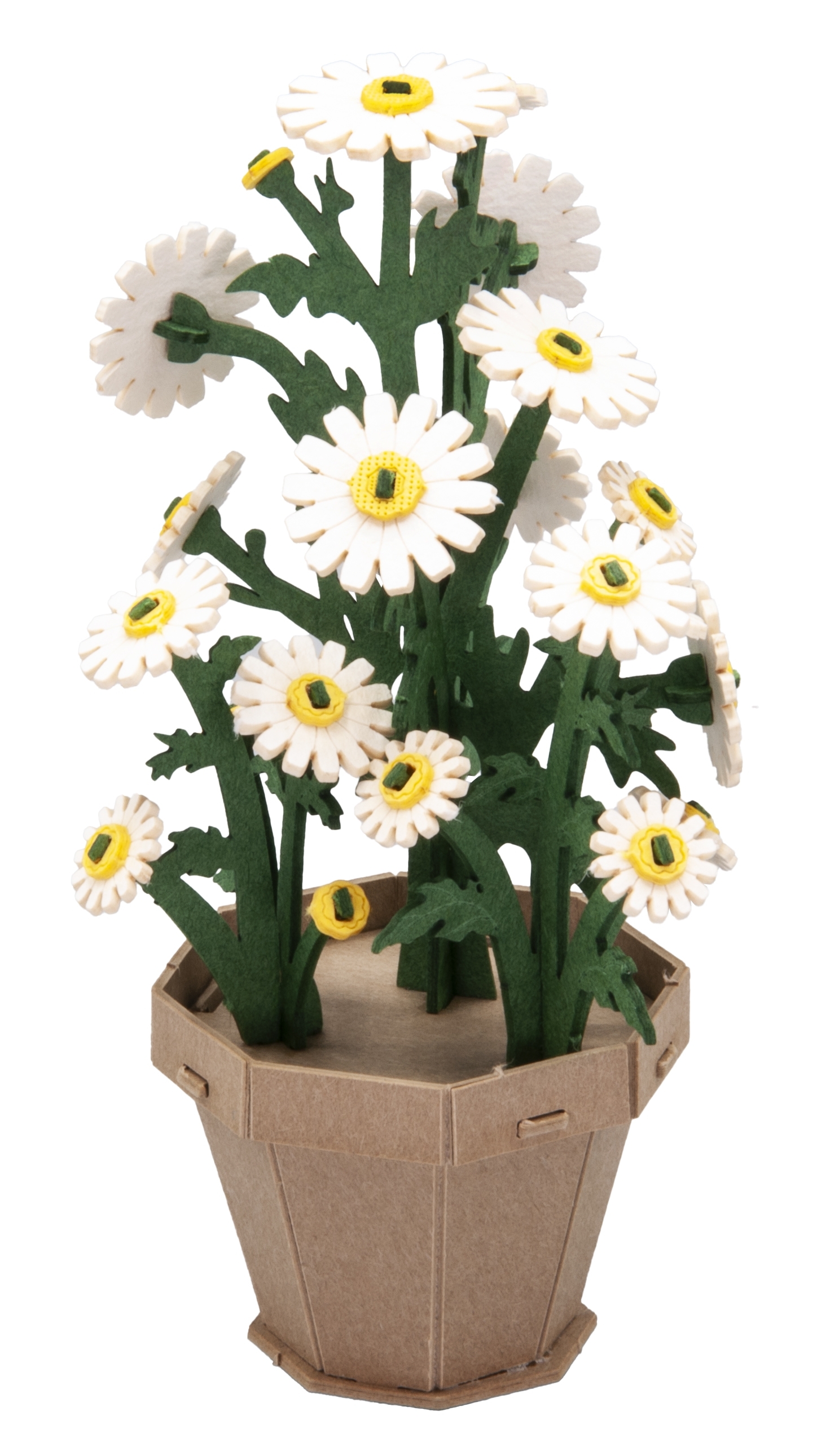 3D model, daisy