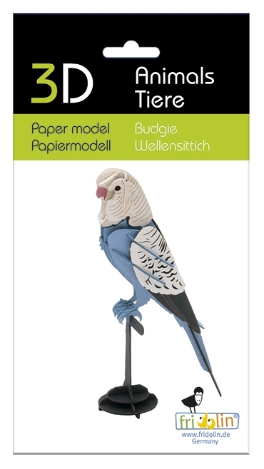 3D model, budgie