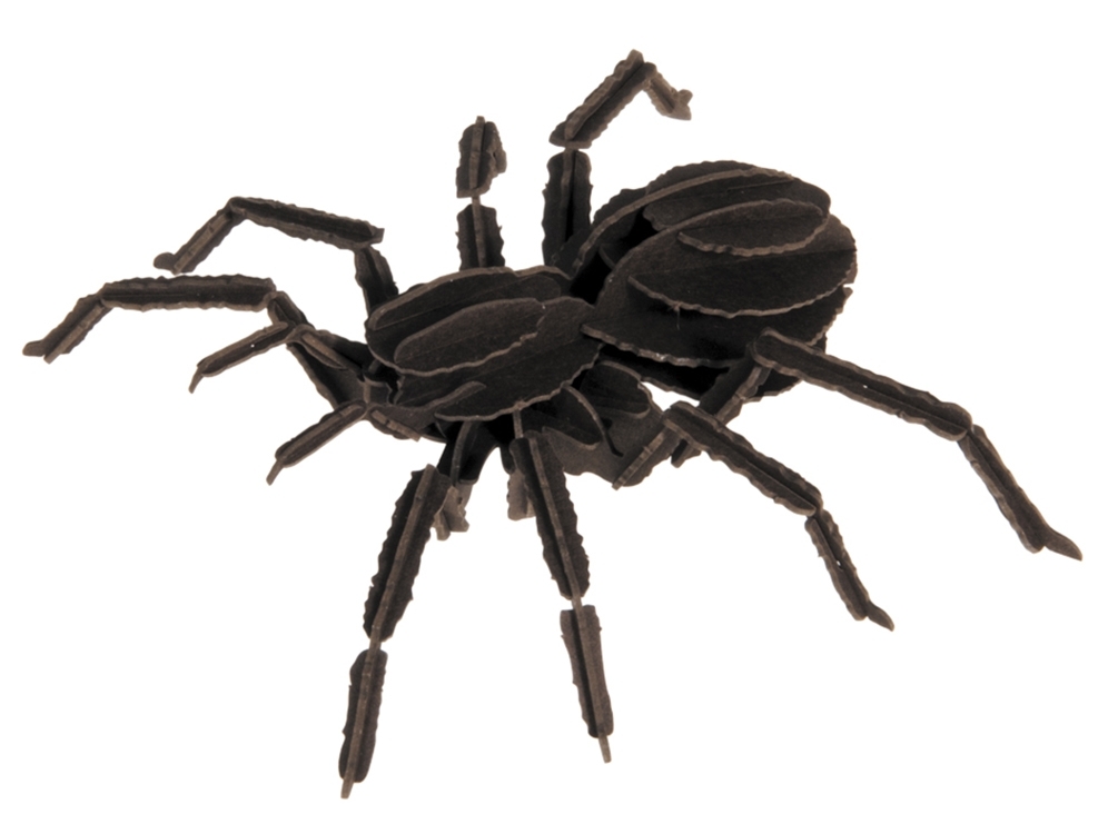 3D model, tarantula