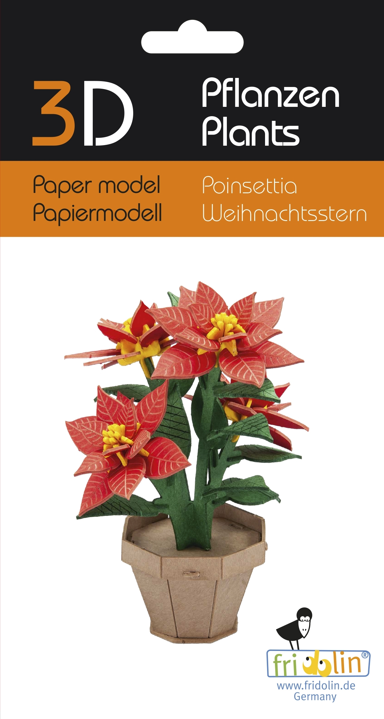 3D model, poinsettia