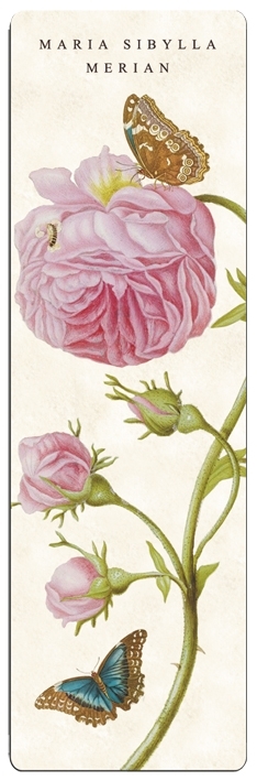 bookmark,  Merian, Rose light rosé