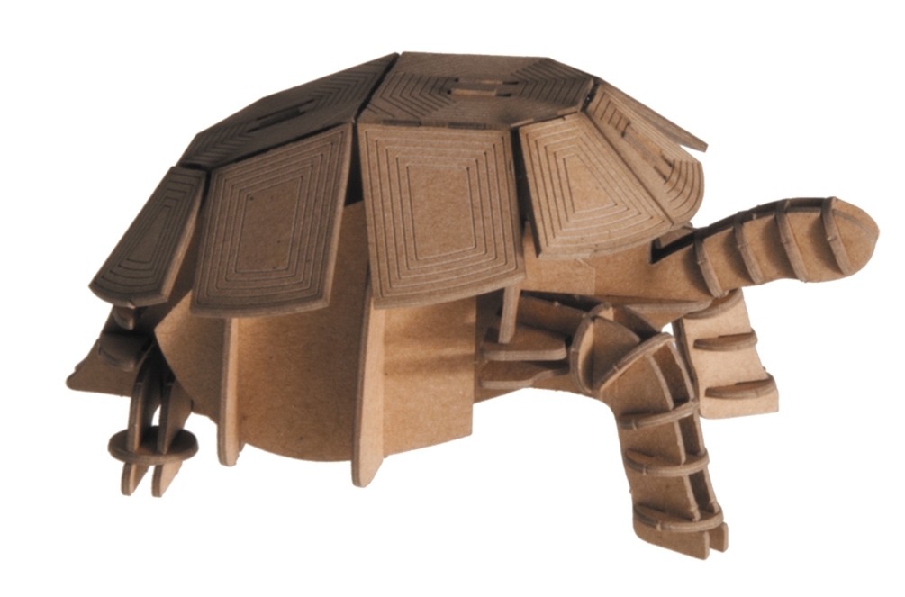 3D model, tortoise