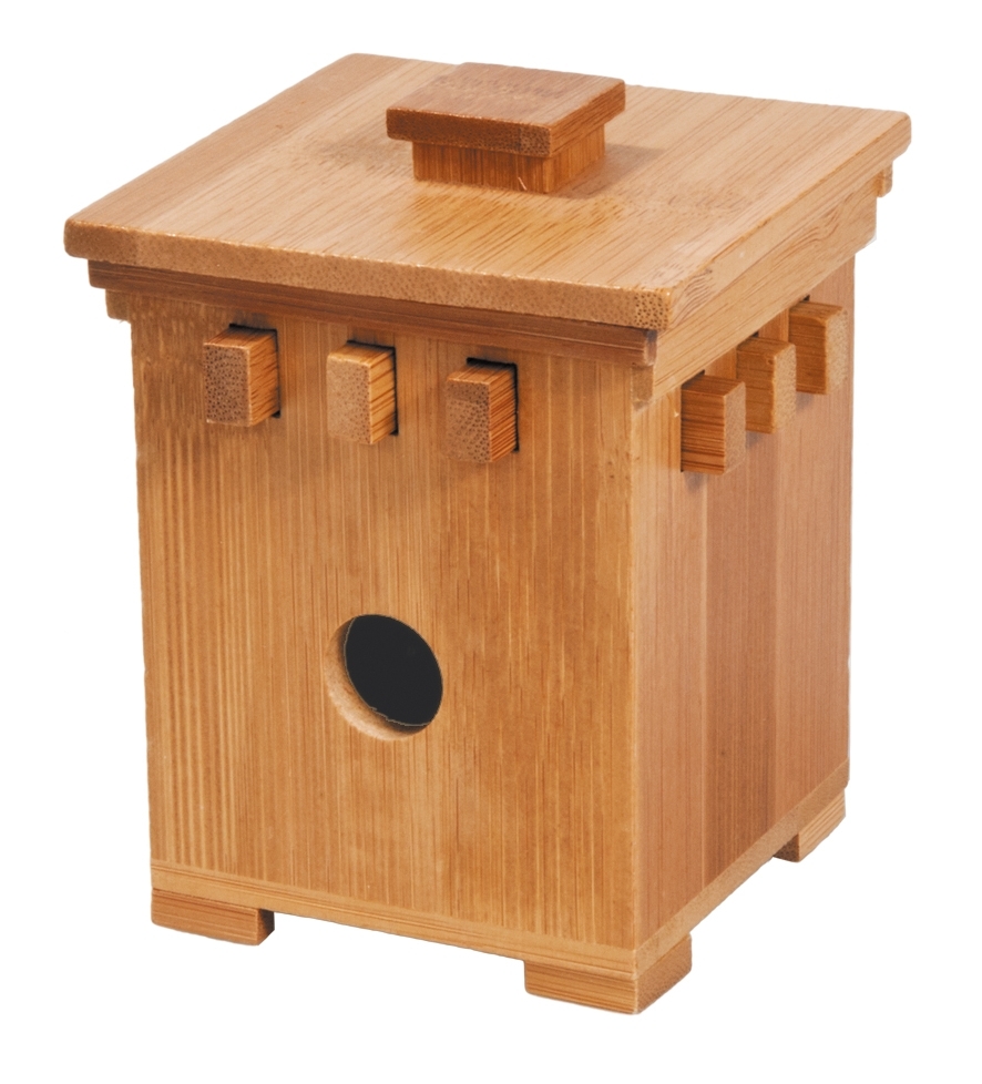 IQ-Test, bamboo safe, 1