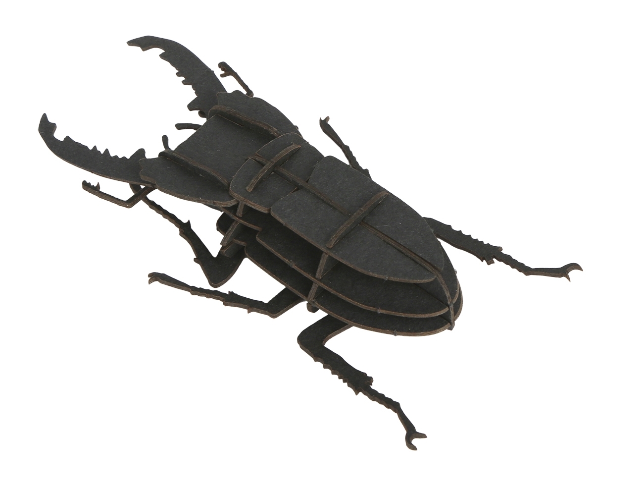 3D model, stag beetle