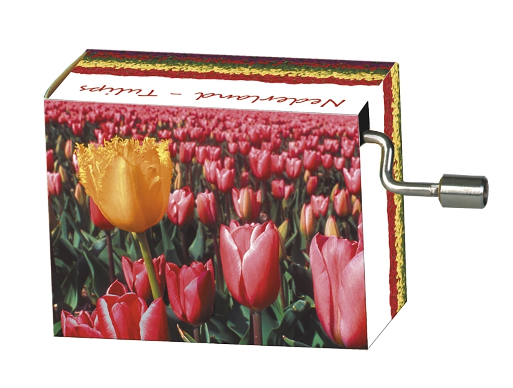 Music box, Netherland/Tulip yellow, Spring/Vivaldi