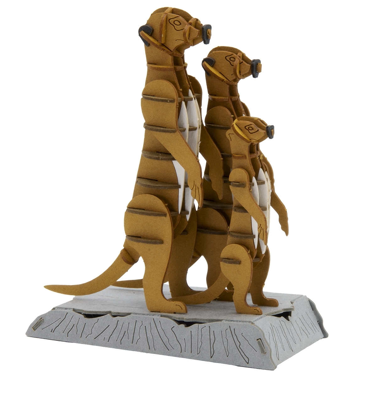 3D model, meerkats