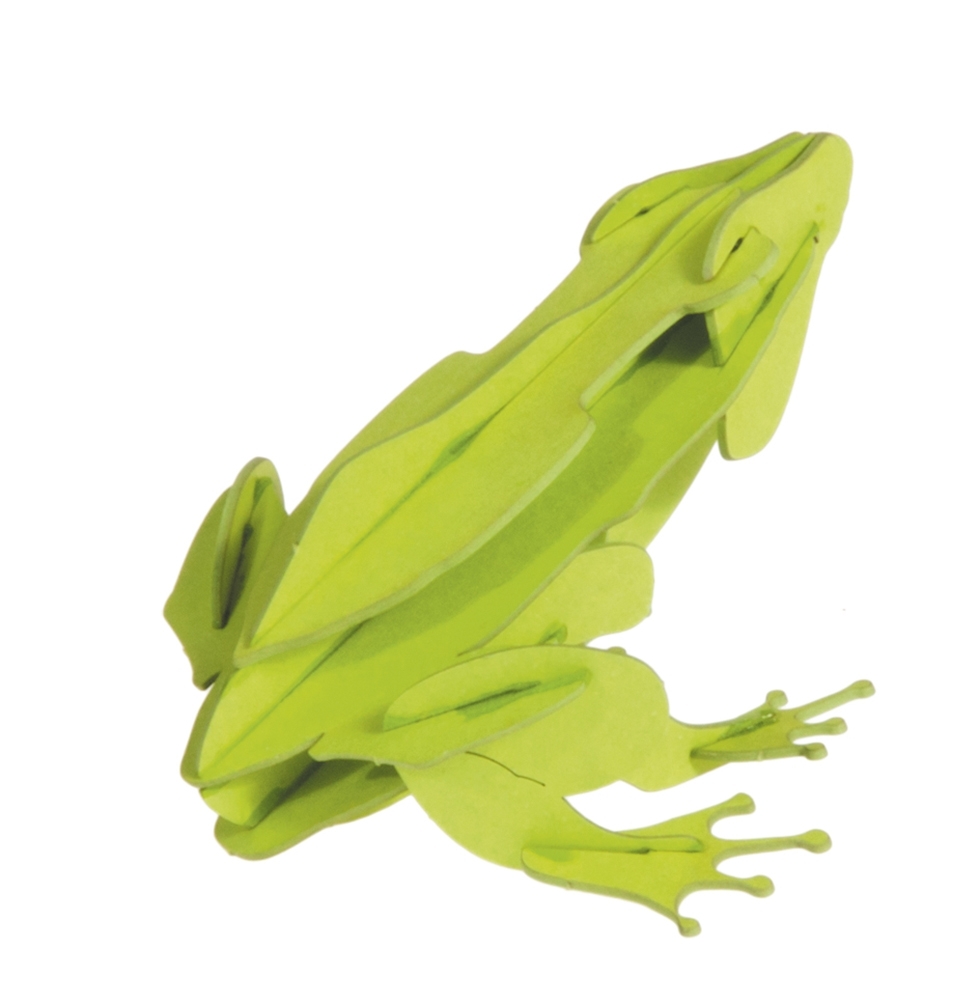 3D model, frog