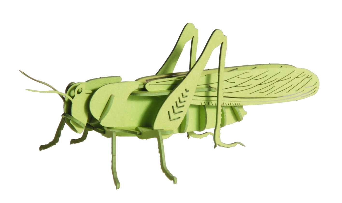 3D model, grasshopper