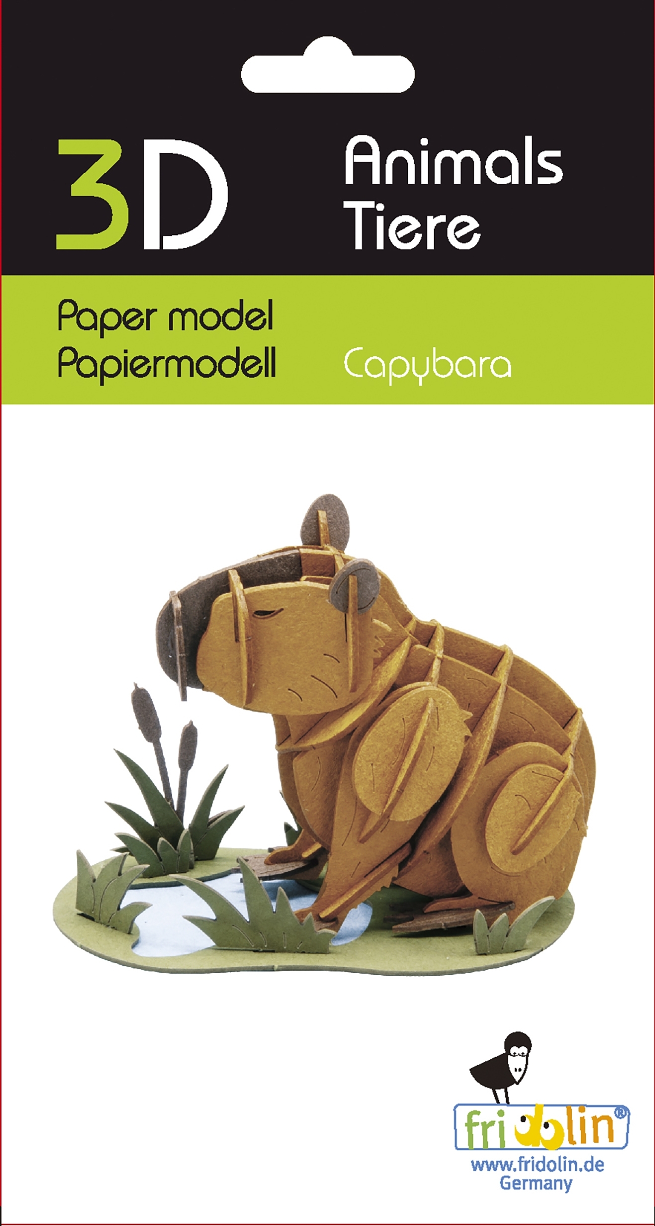 3D model, capybara