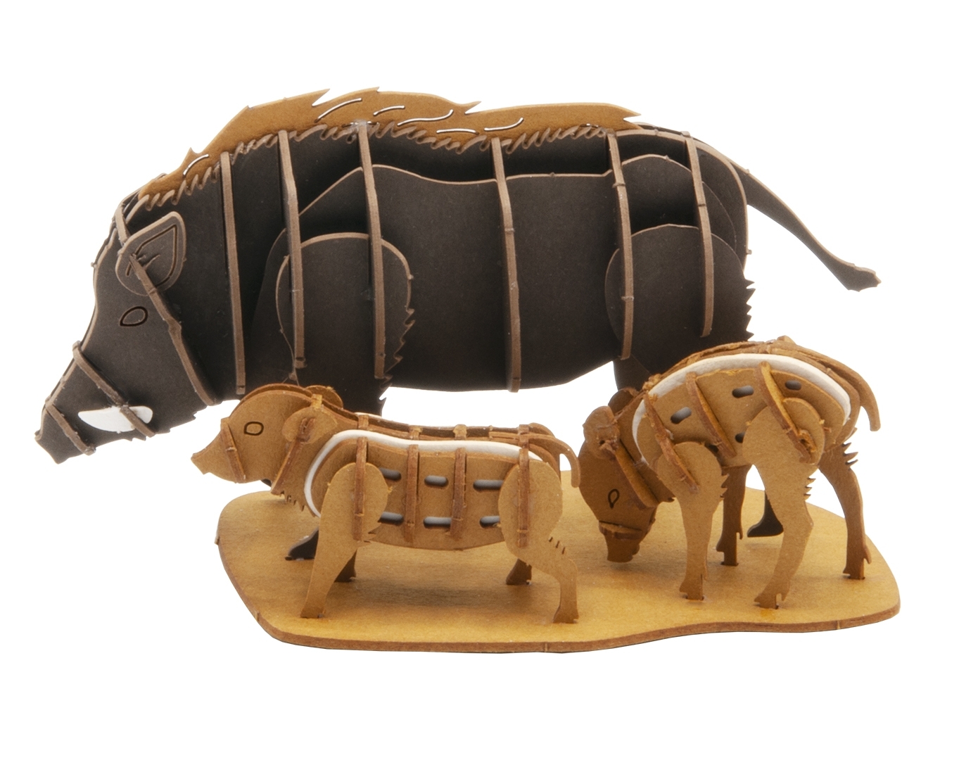 3D model, wild boars