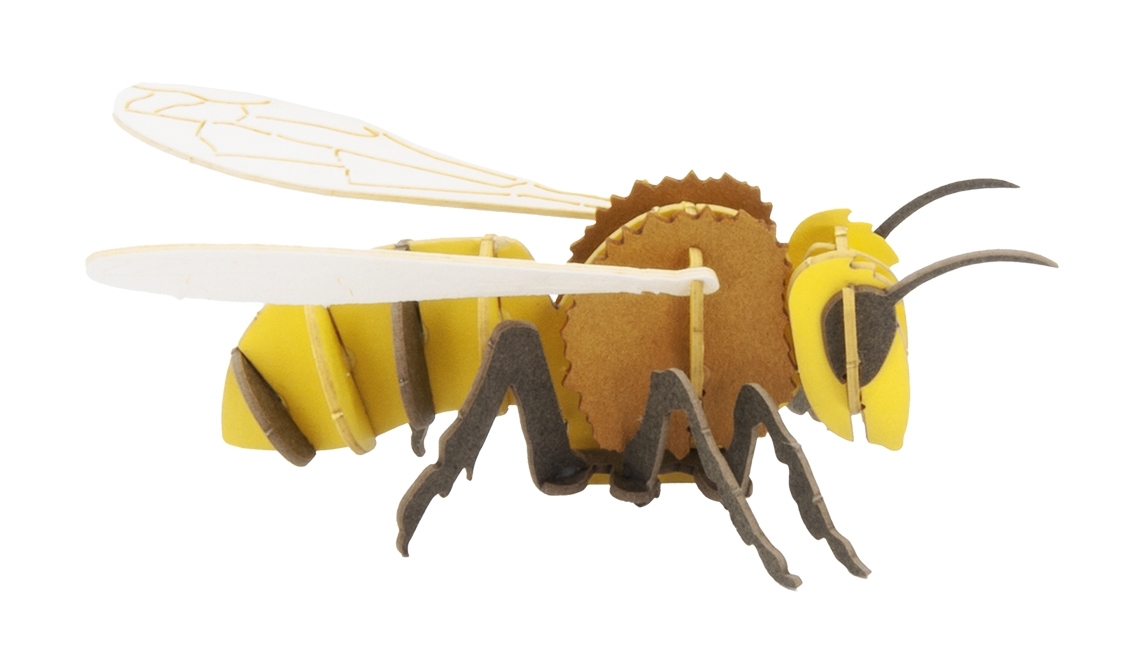 3D model, bee