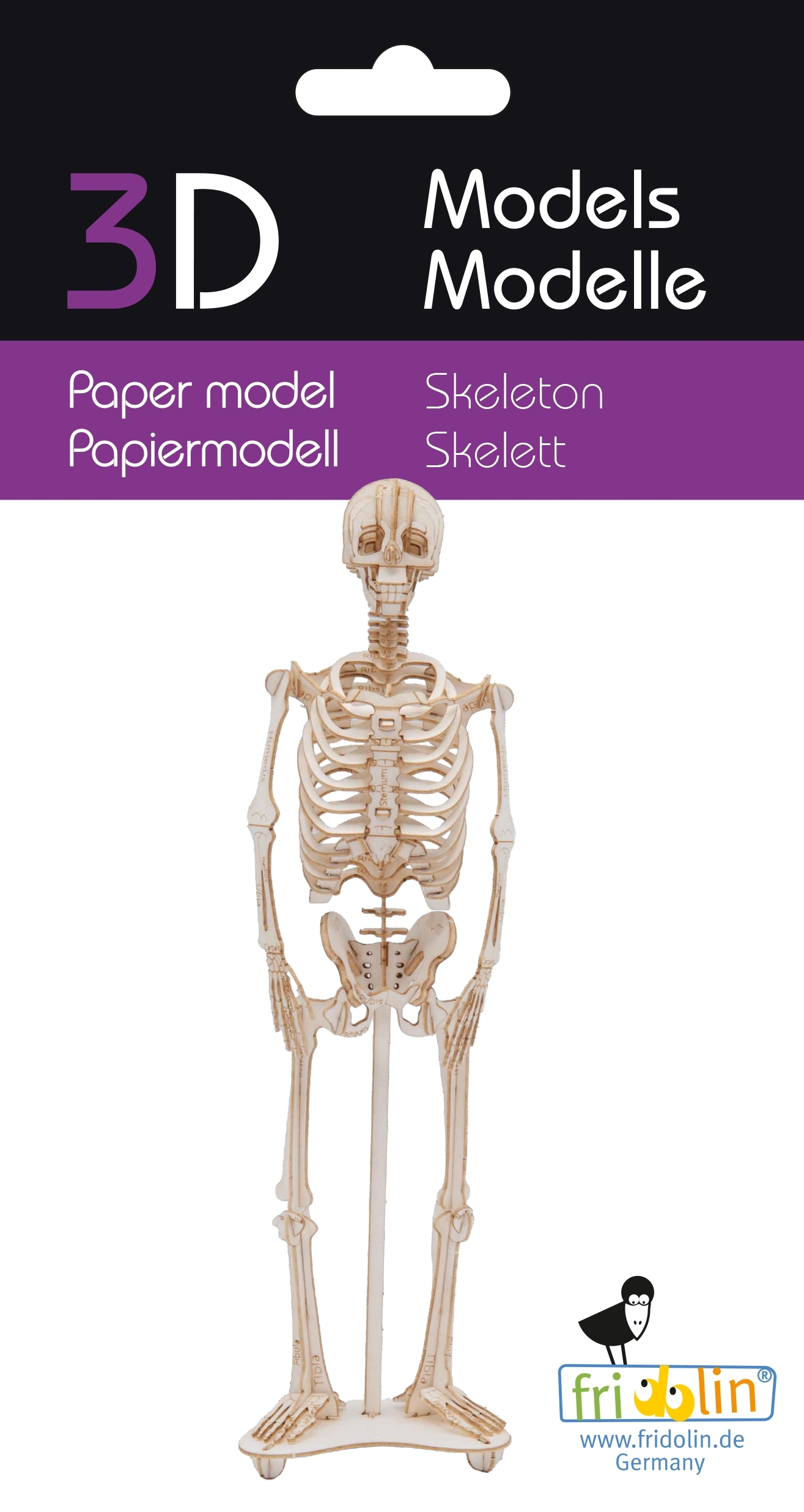 3D model, skeleton