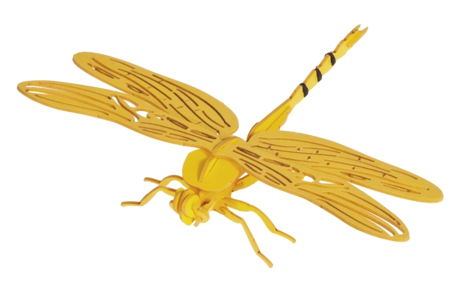 3D model, dragonfly