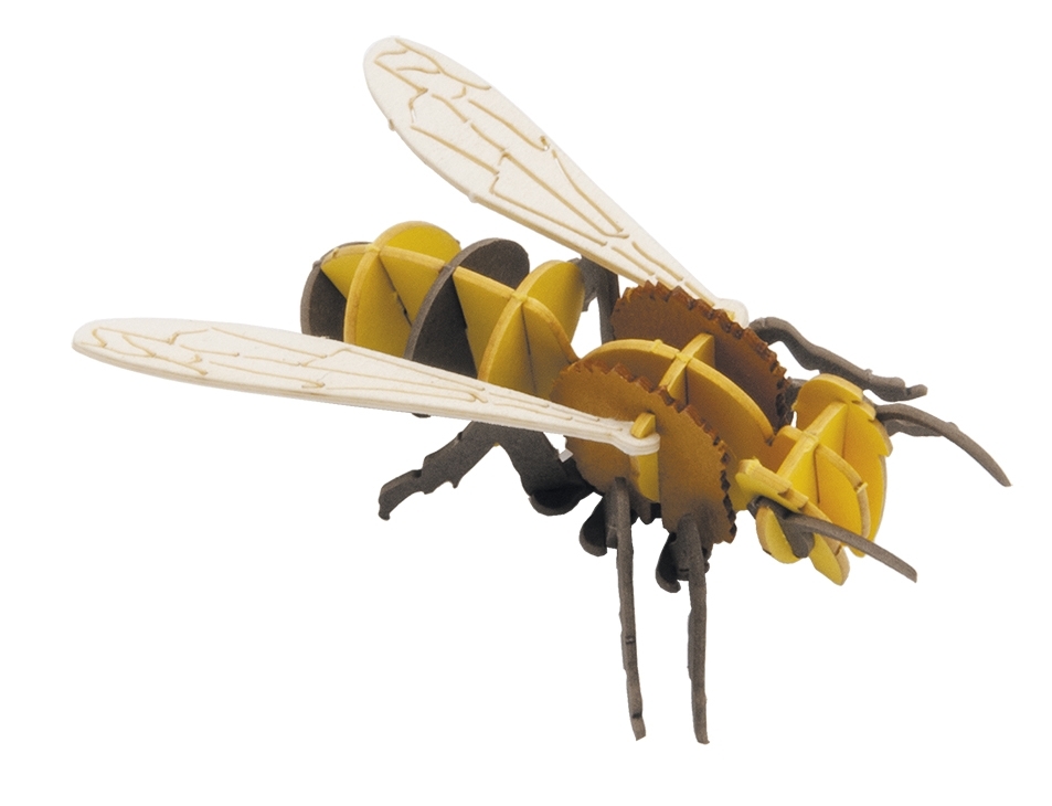 3D model, bee