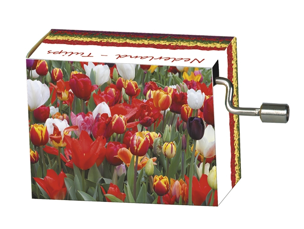 Music box, Netherland/Tulips mixed, Spring/Vivaldi