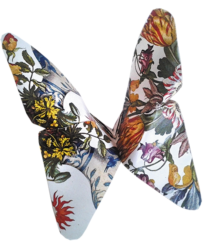 Art-Origami, Butterfly, Merian, 20 sheets 15x15 cm