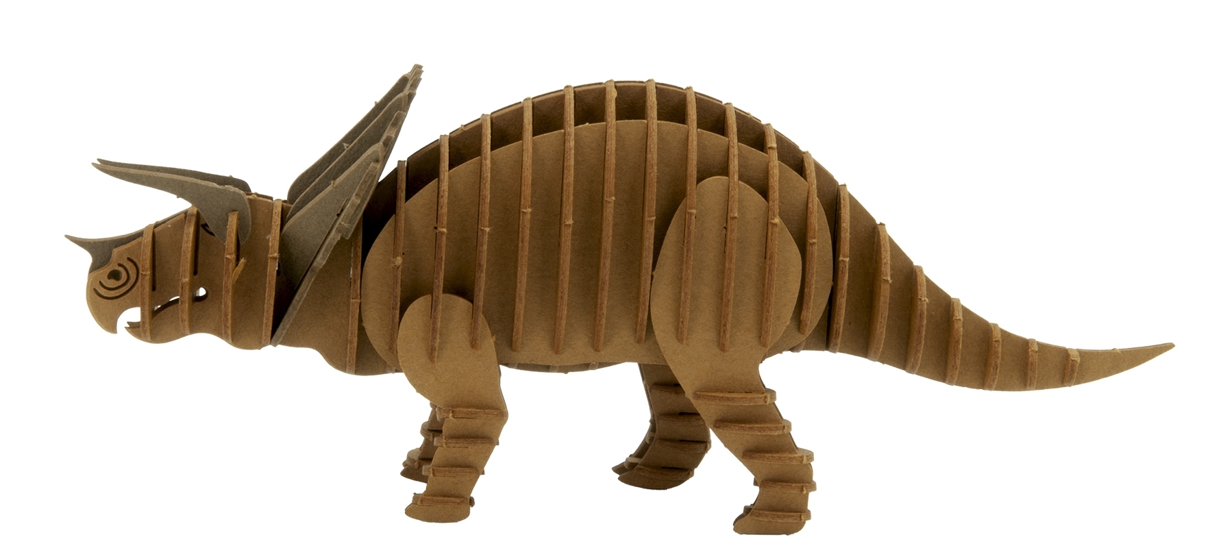 3D model, triceratops