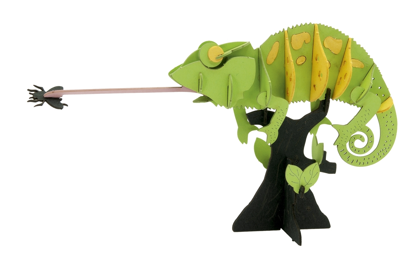 3D model, chameleon