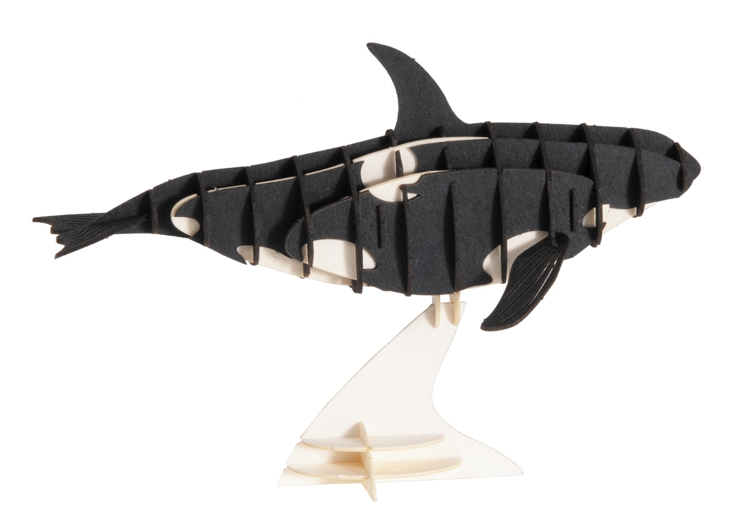 3D model, orca