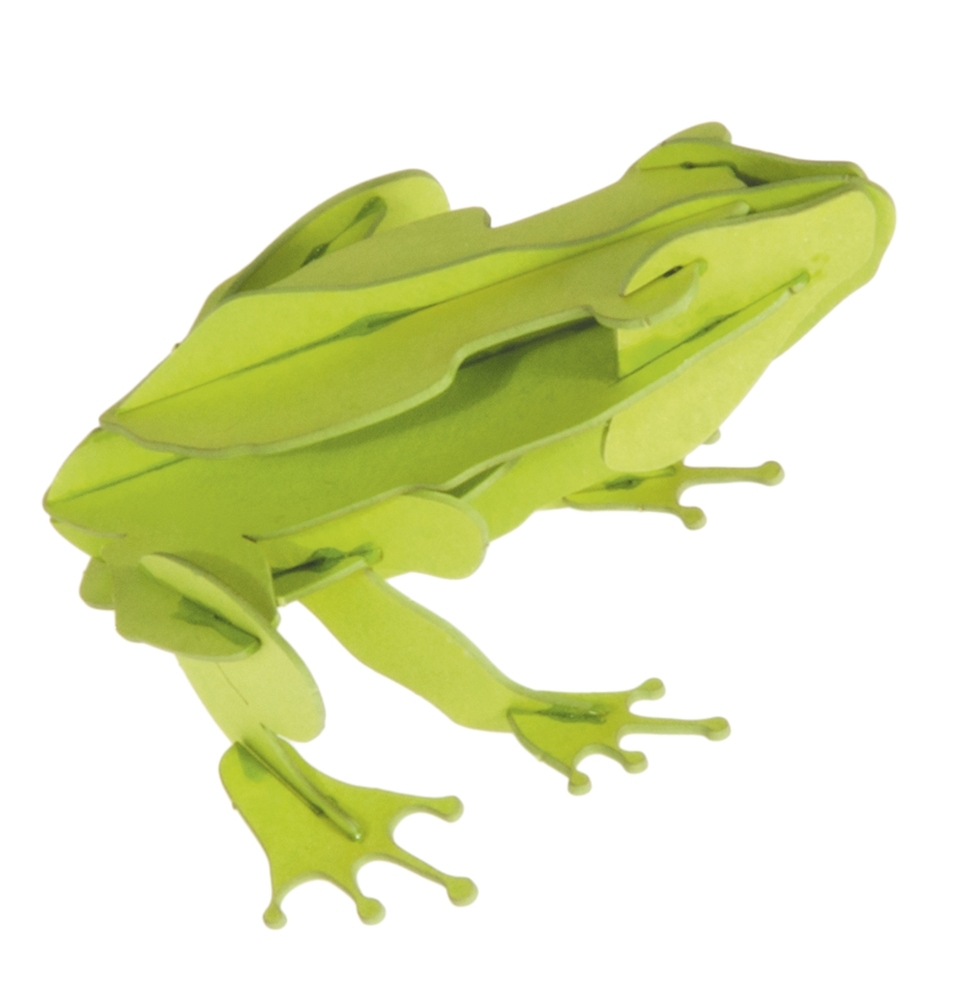 3D model, frog