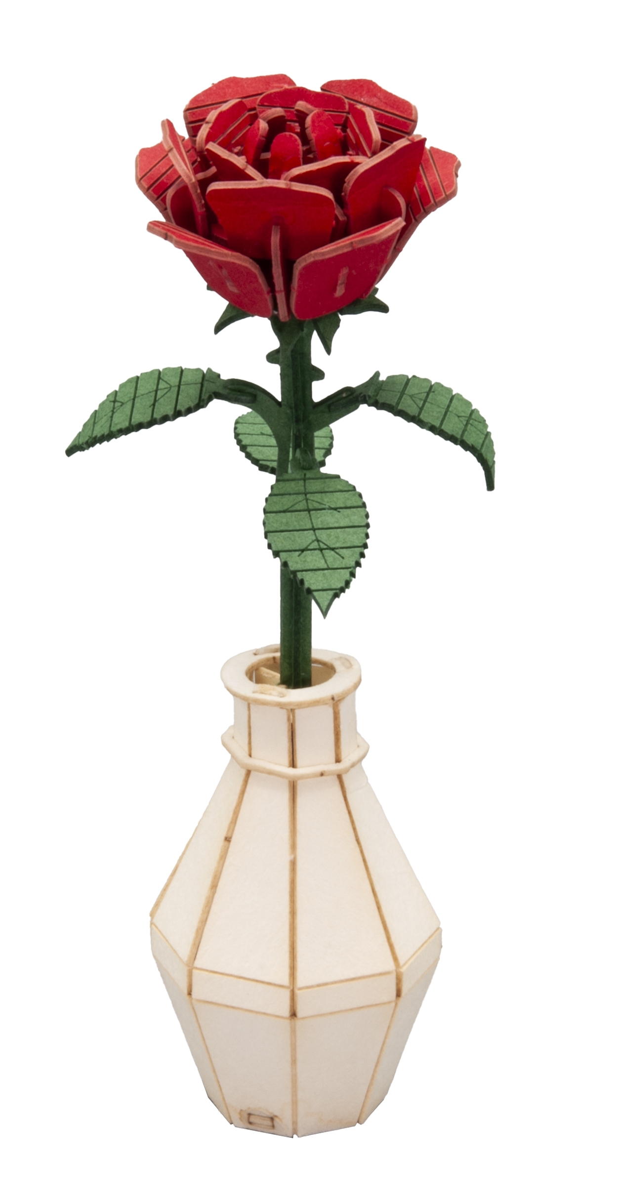 3D model, red rose