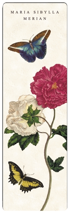 bookmark, Merian, Rose white and rosé
