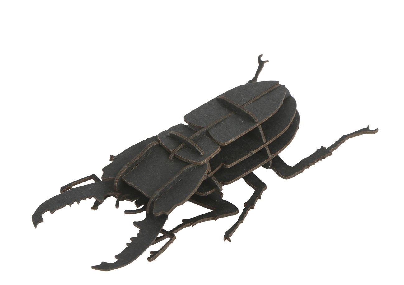 3D model, stag beetle