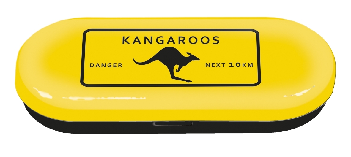 Spectacle case, Adventure time, kangaroos, metal