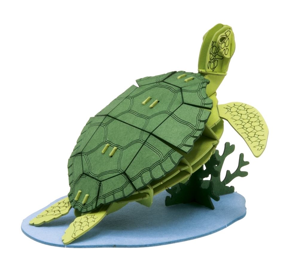 3D model, sea turtle
