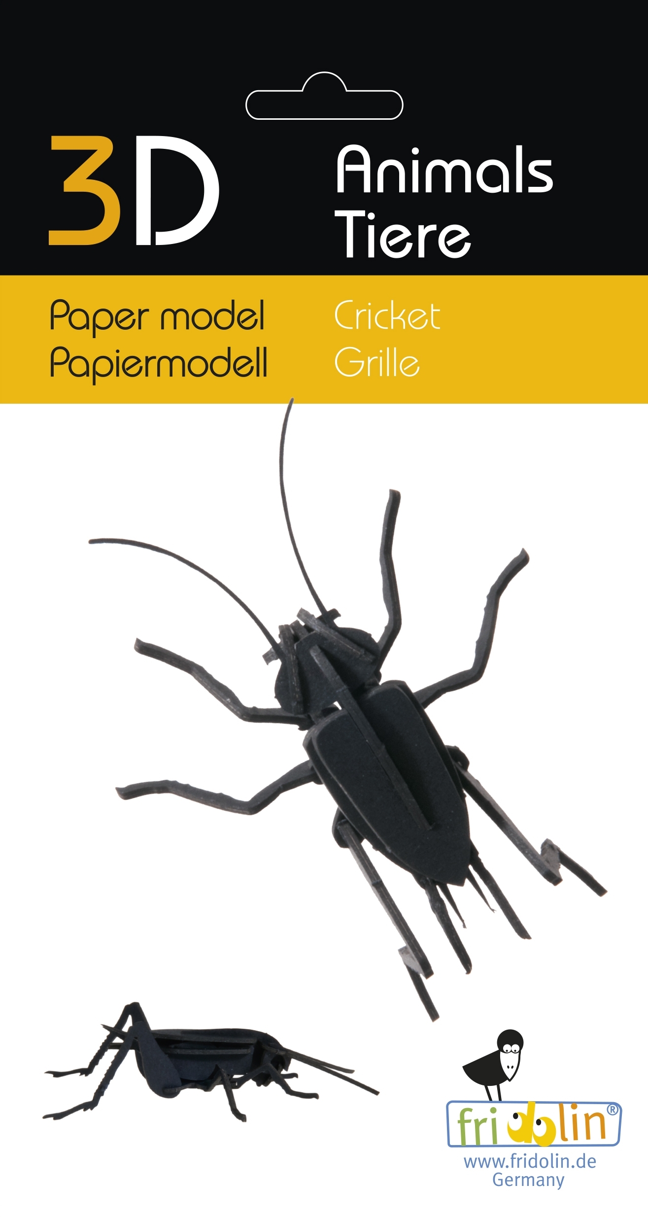 3D model, cricket