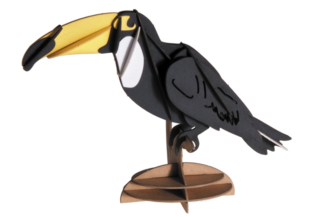 3D model, toucan
