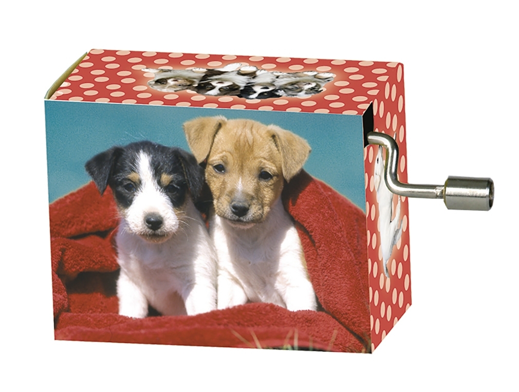Music box, Old McDonald, Two doggies on a blanket