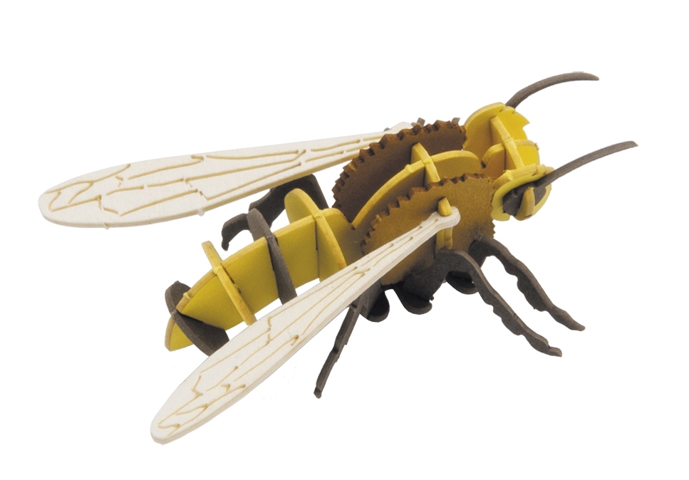3D model, bee