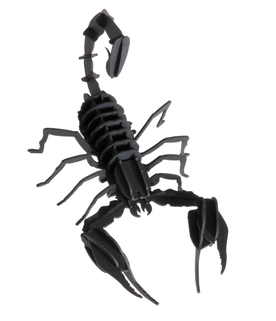 3D model, scorpion