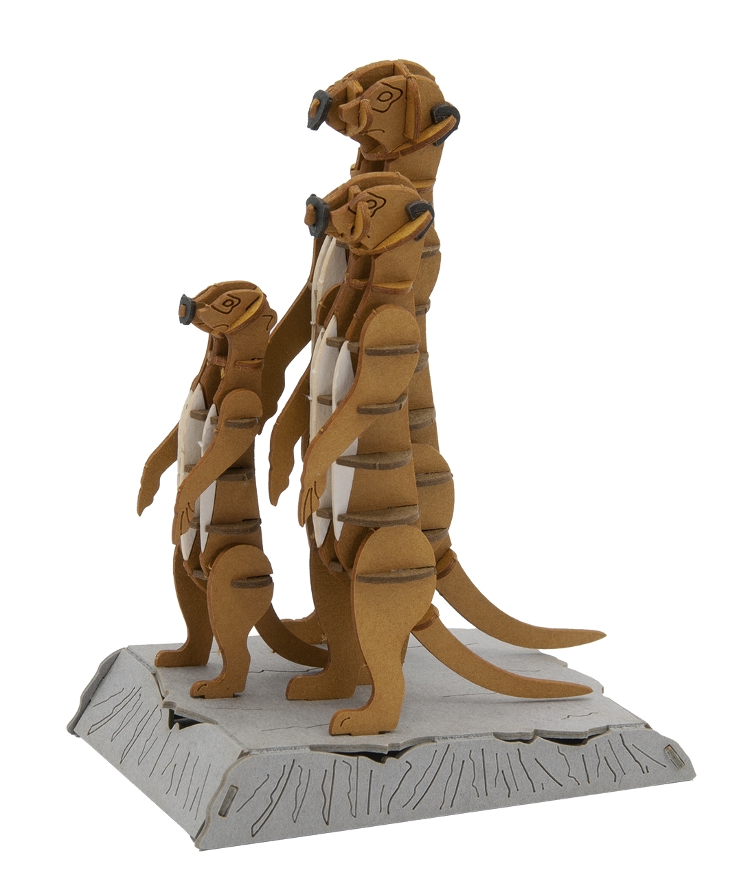 3D model, meerkats