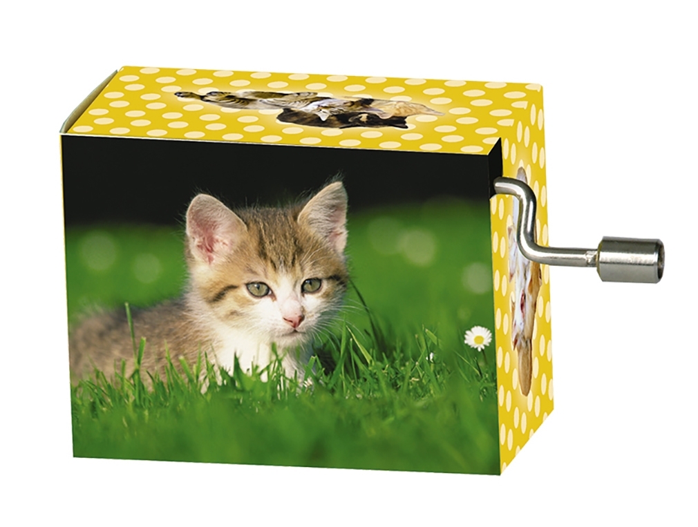 Music box, La Le Lu, Kitten in the meadow