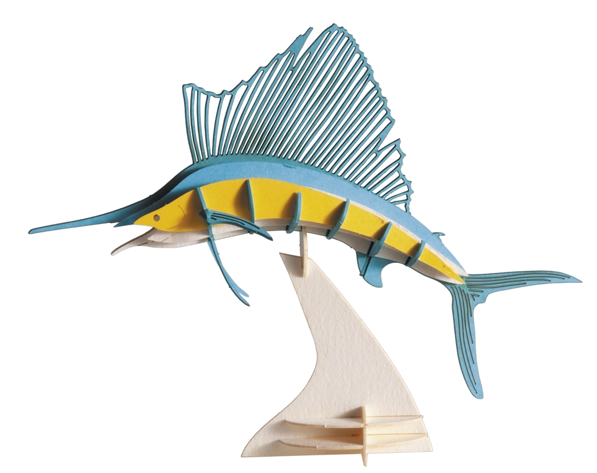 3D-Modell, Segelfisch