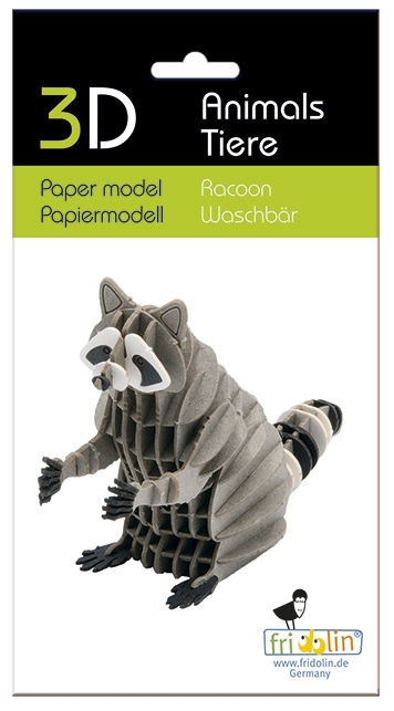 3D model, raccoon