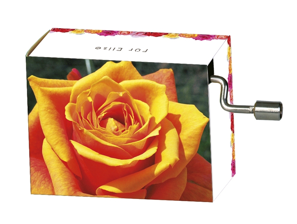 Music box, For Elise/Beethoven, Yellow rose